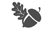 Bellota